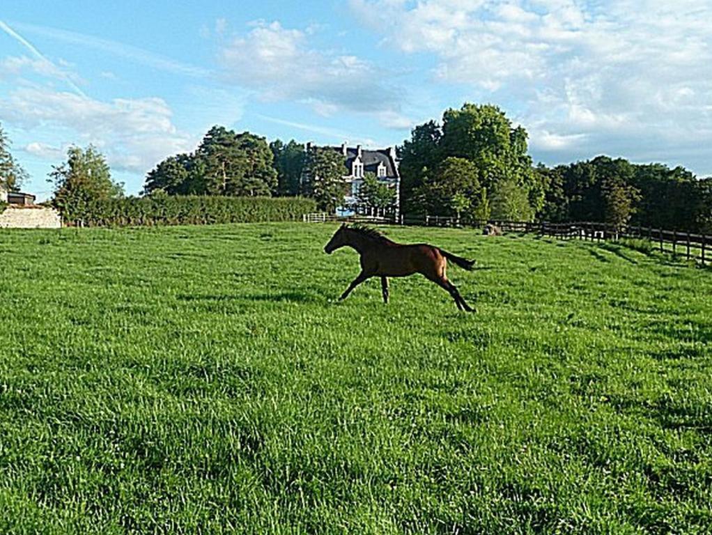 Chambres D'Hotes Du Haras De Coddes Cercy-la-Tour Exteriér fotografie