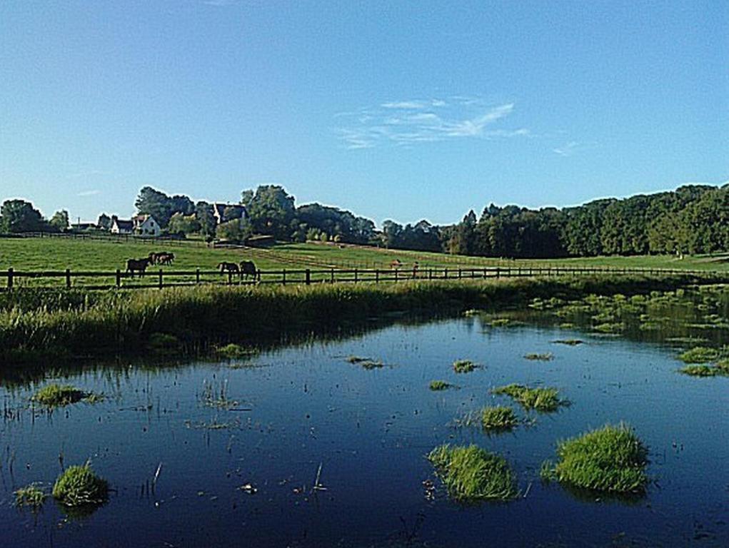 Chambres D'Hotes Du Haras De Coddes Cercy-la-Tour Exteriér fotografie